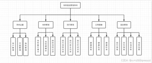 SpringBoot寵物醫(yī)院系統(tǒng) 設(shè)計(jì)與實(shí)現(xiàn)全解析